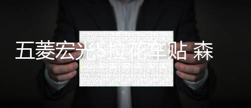 五菱宏光S拉花车贴 森雅M80荣光馒头车拉花 宏光车身腰线贴